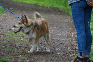 Training 24.05.2020 – Bechlingen 46